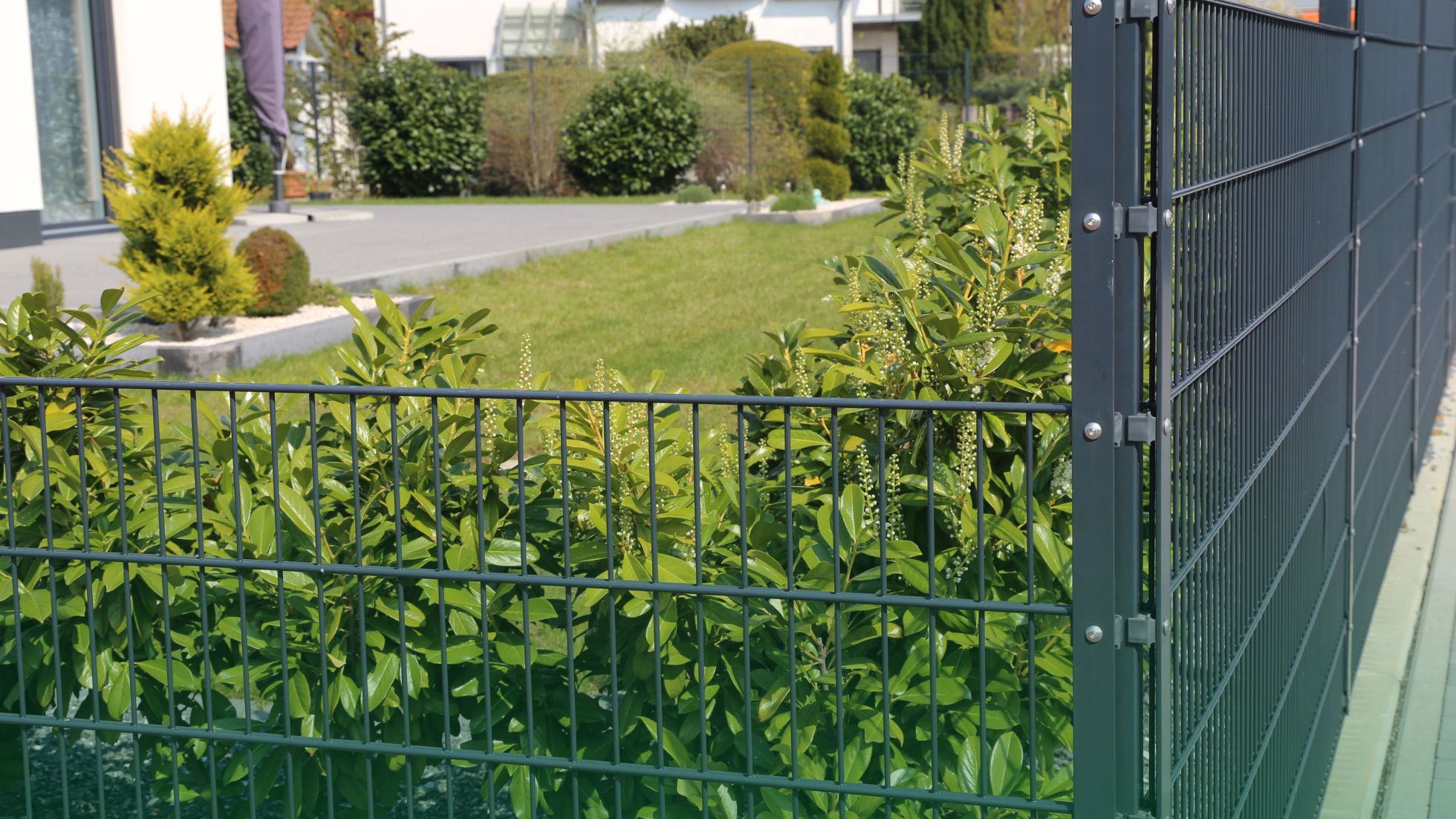 cloture jardin
