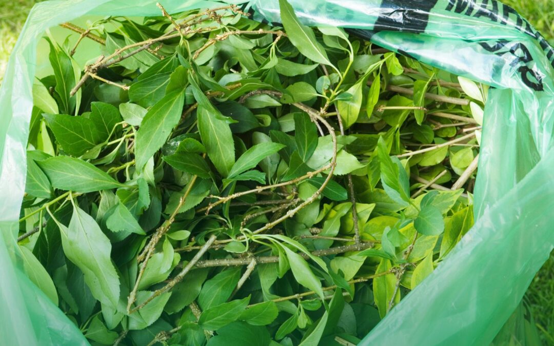 Enlèvement des déchets verts : Pourquoi et comment bien gérer vos résidus de jardin ?