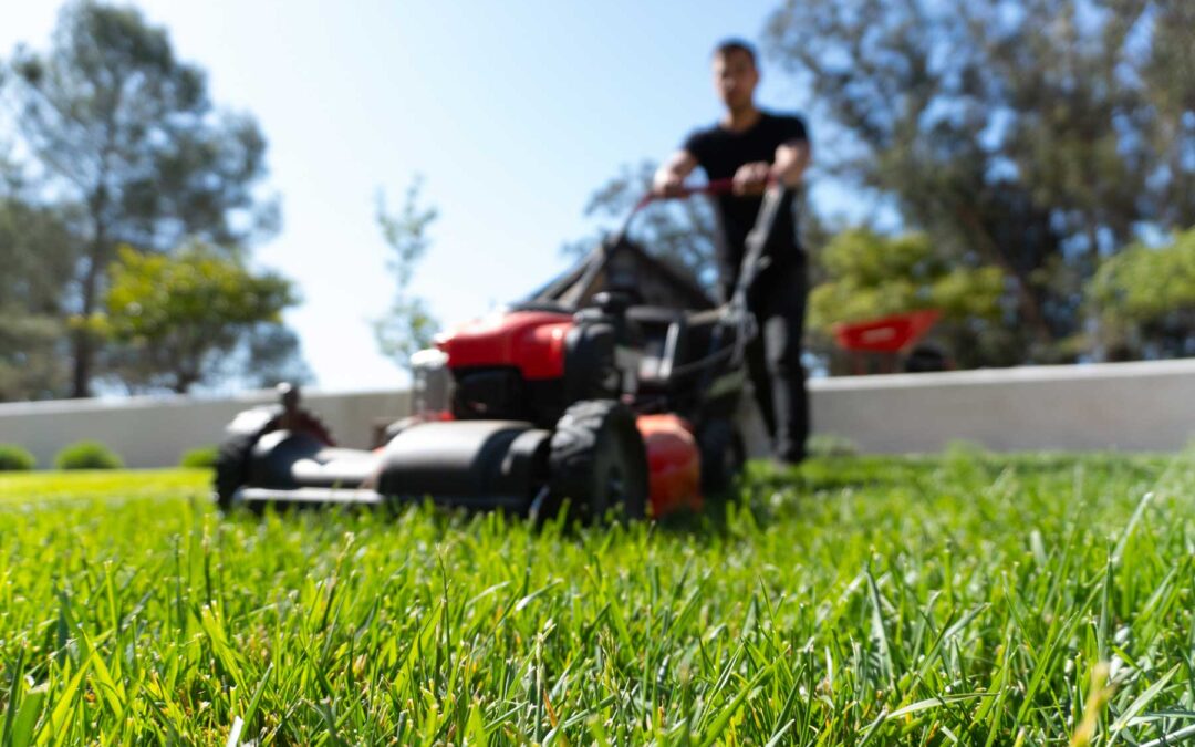 Tonte de pelouse et entretien du gazon : Guide pour un jardin verdoyant