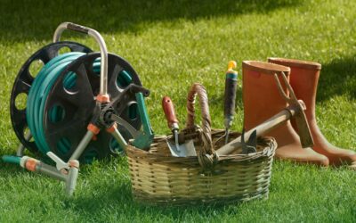 Entretien des outils de jardin : Nos astuces pour les garder en bon état